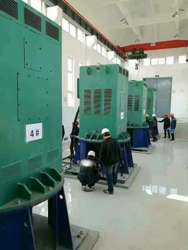 YJTFKK5603-6某污水处理厂使用我厂的立式高压电机安装现场